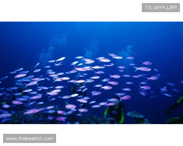 博鱼真人官方入口便捷登录方式，快速进入真人娱乐世界