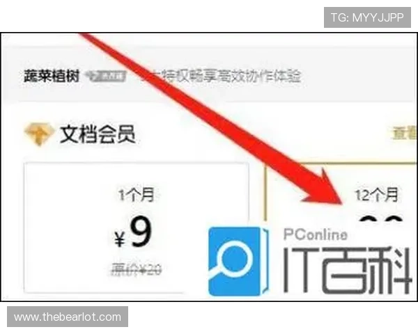 快速掌握PA zhenren会员申请条件与步骤内容全解析