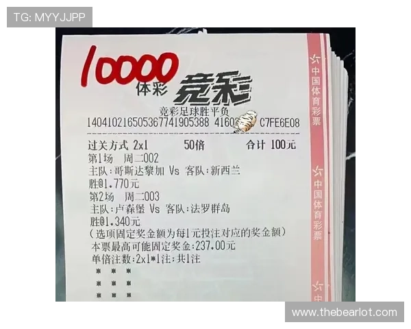 世界杯新西兰vs埃及后防线的防守组织与应对策略详细解析